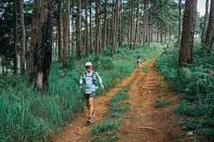 BIB: 
                            <button type="button" onclick="openModal(25740272)" class="btn btn-primary btn-sm float-right btn-popup" data-toggle="modal" data-target=".modal-high-quality">
                        <i class="fas fa-shopping-cart"></i> Add to Cart
                    </button>
                                            <button type="button" onclick="isThisMe(25740272, true)" class="btn btn-success btn-sm float-right btn-popup btn-isme hidden" data-toggle="tooltip" data-placement="bottom" title="นี่คือรูปของคุณใช่ไหม คลิกที่นี่เพื่อเอาเข้าอัลบั้ม">
                        <i class="fas fa-plus"></i> Add to album
                    </button>
                    <button type="button" onclick="isThisMe(25740272, false)" class="btn btn-warning btn-sm float-right btn-popup btn-isnotme hidden">
                        <i class="fas fa-ban"></i> Remove from album
                    </button>